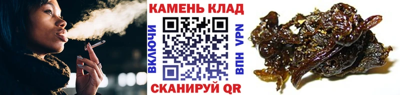 ГАШИШ VHQ  Мышкин 