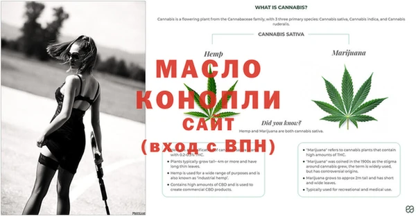 СК Бородино