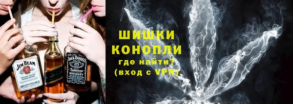 СК Бородино