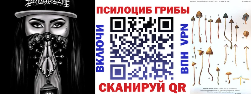 Галлюциногенные грибы GOLDEN TEACHER Мышкин